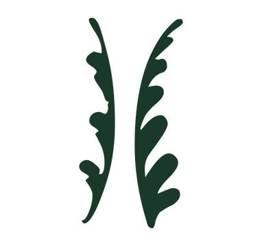 Gennaio Naturals logo